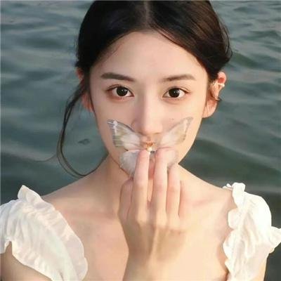 梦之森林